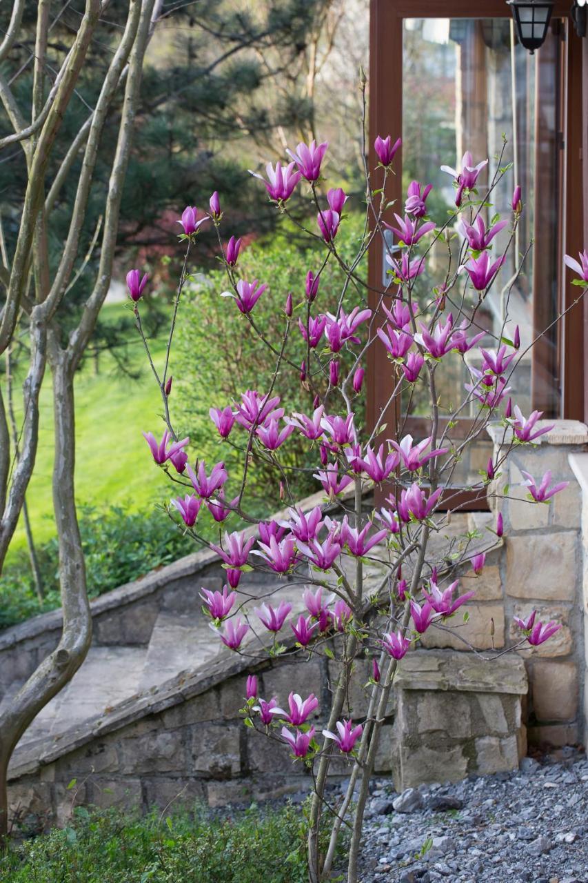 Casa Lavanda Boutique Hotel Ağva Exteriör bild